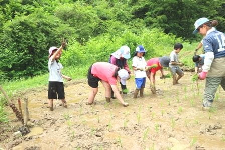 横沢入　田植え