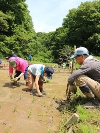 田植え