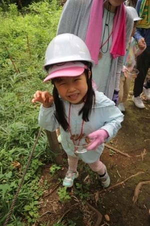 セミの抜け殻探し