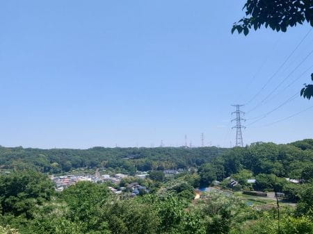 七国山緑地保全地域