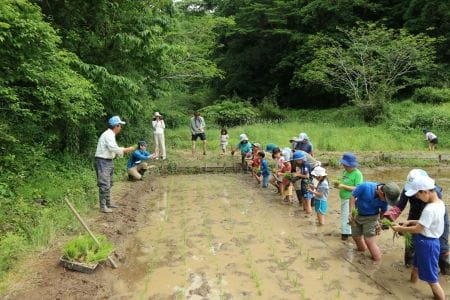 田植え子どものみ