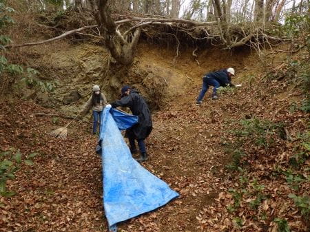 落ち葉を集める