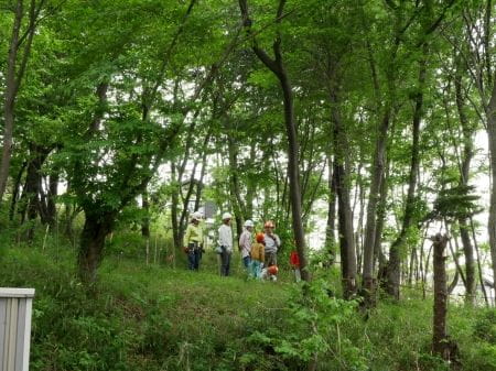 多摩東寺方緑地保全地域