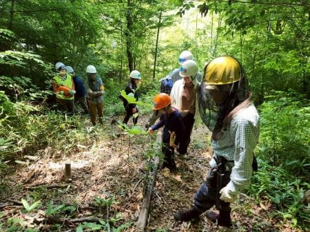 自然観察スタート