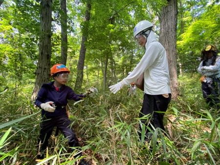 ササ狩りの様子3