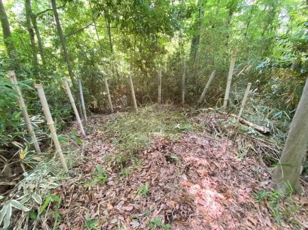 ササ狩り後の一風景