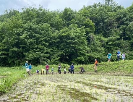 田植え日和の中の活動