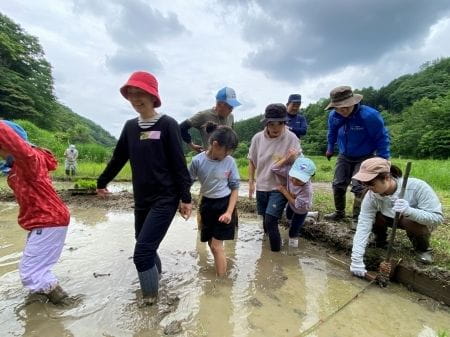 田んぼに入る瞬間