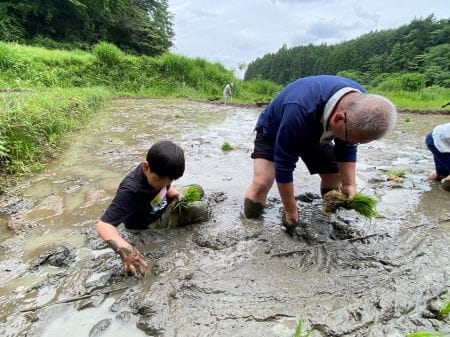 田んぼの中で大苦戦