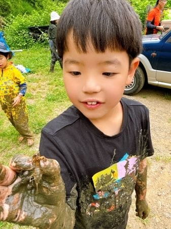 田んぼの中の生き物との出会い