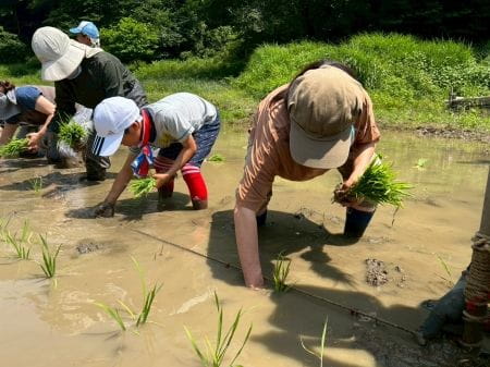 田植えスタート