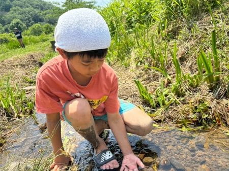 オタマジャクシを見つけた様子