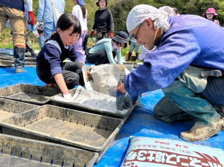 トレーに新聞紙を敷く様子