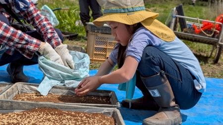 土の上にタネをまく様子