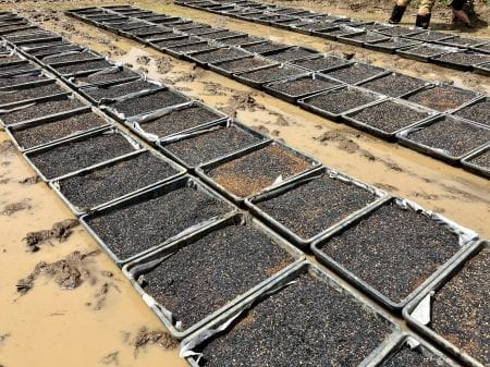 準備を終えたトレーの数々