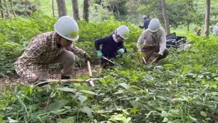 下草刈りスタート