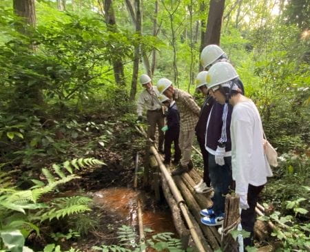 自然観察の様子