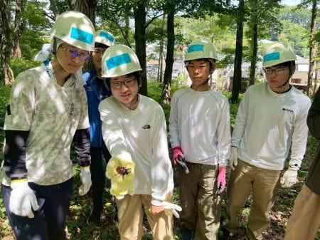 カブトムシを発見その2