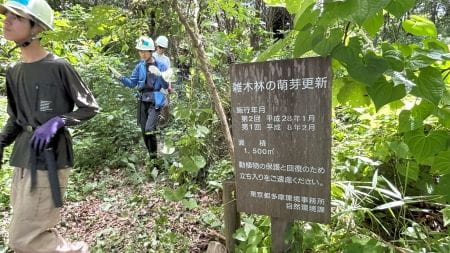 萌芽更新の地を巡る