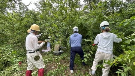 背丈以上の茂みの中へ突入