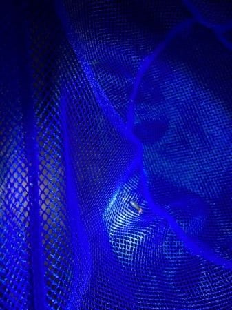 光るホタルの様子