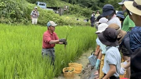 草取りを講師の方がレクチャー