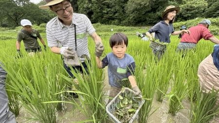 カゴいっぱいの草を持つお子様