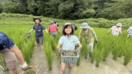 草いっぱいのカゴを持つ女の子
