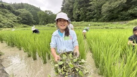 たくさんの草をもつ女の子