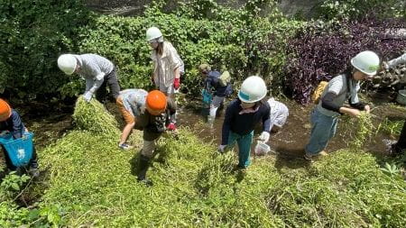繁茂する草を取り除く