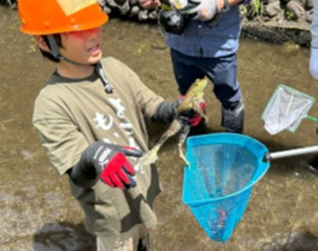 草取り中に出現したヒキガエル