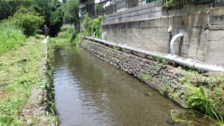 湧水の川の中はひんやり