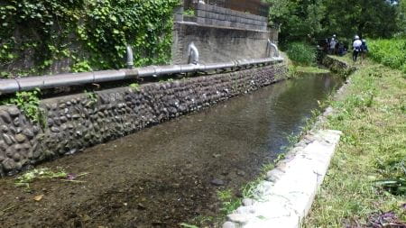 キレイになった護岸