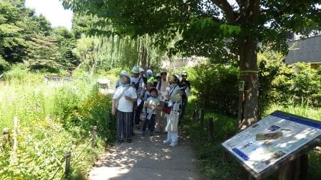 講師の方による植物の説明３