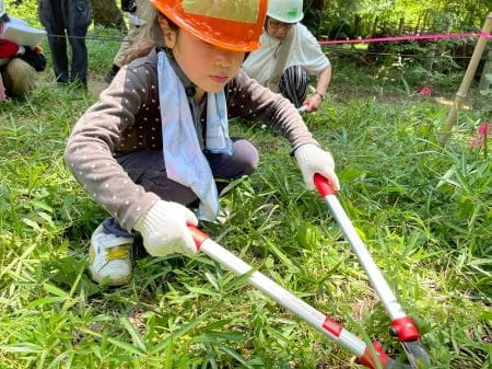 真剣に下草を刈る様子