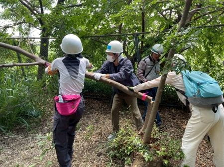 力を合わせて伐採作業