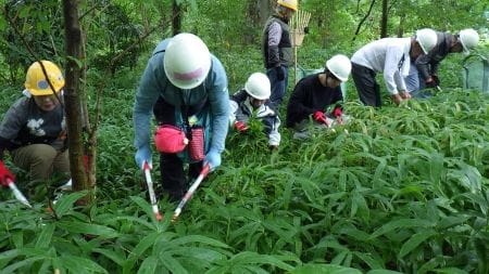 刈りこみばさみの使い方のレクチャー