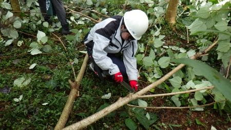 ノコギリで木を小さいサイズに切る
