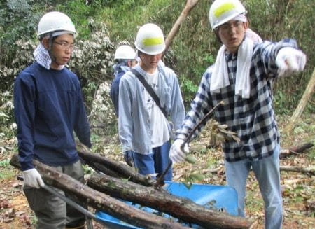 チームワーク良く大木を運ぶ様子