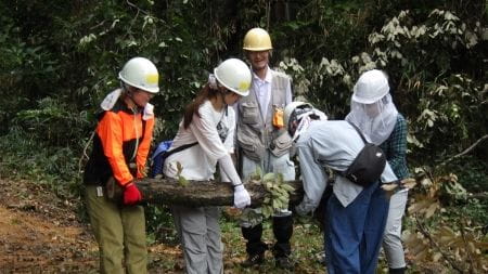力を合わせて大木を持ち運ぶ