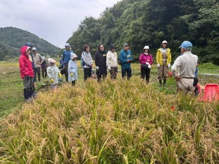 田んぼに移動して講師から説明を受ける