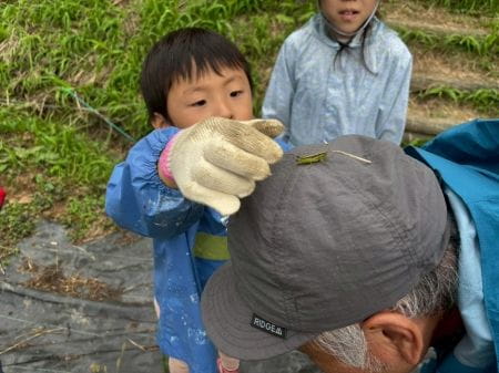 帽子にとまったバッタを捕まえようとする男の子