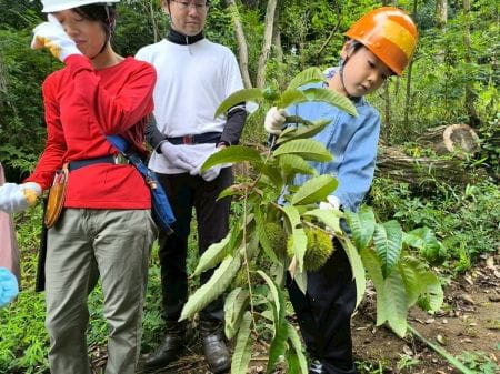 山栗の枝を持つ少年