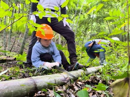 両手でノコギリをもって竹を切る様子