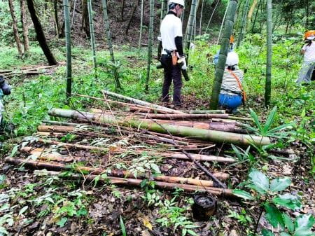 並べられた竹の山