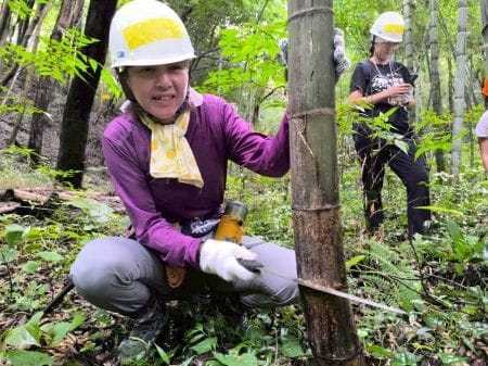 竹伐採をする女性
