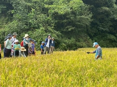 講師の方から鎌の扱い方のレクチャー