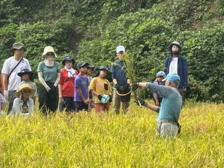 稲をきれいにまとめるコツレクチャー