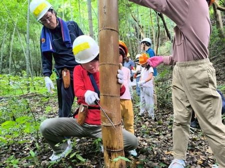 丁寧に竹を切る様子