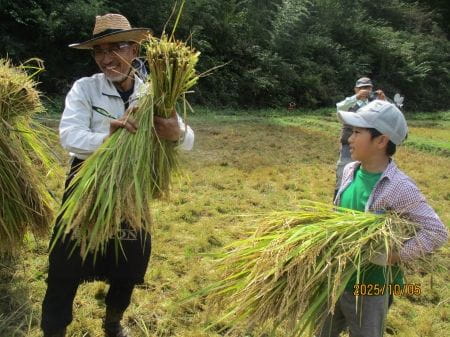 はざかけの準備